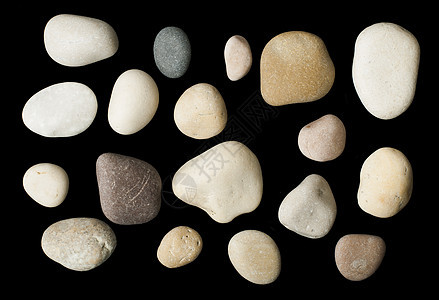 一组海石黑色隔离物星星珊瑚海滩蜗牛工作室剪裁宏观石头动物贝类图片