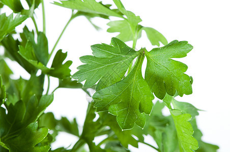 新鲜面纱植物美食草本植物园艺烹饪枝条茶点小枝营养食物图片