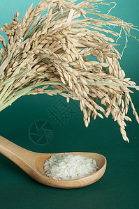 以木勺制成的稻谷秃顶烹饪粮食蔬菜营养勺子饮食谷物种子美食文化图片