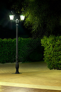 公园灯的夜照照片夜景街道照明胡同城市季节叶子人行道路灯灯笼图片