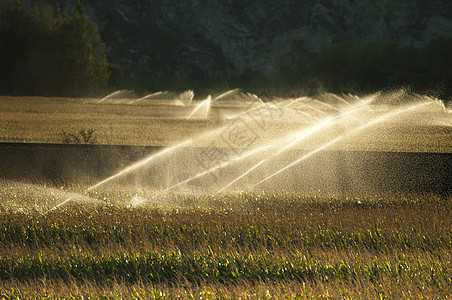 日落时的灌溉系统图片