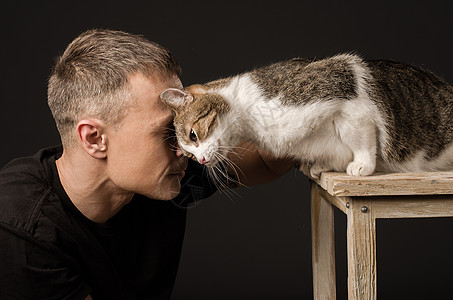 友情 友谊 男人和猫触摸了他们的前额怜悯感情一只猫毛皮宠物兄弟动物人与猫成人护理图片