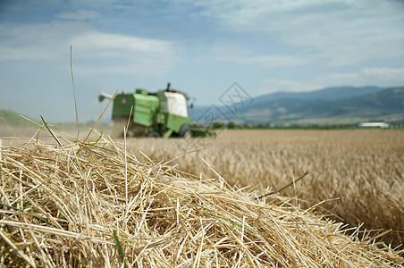 拖拉机和合并采伐机器食物干草豆子玉米场地稻草收获面包农业图片