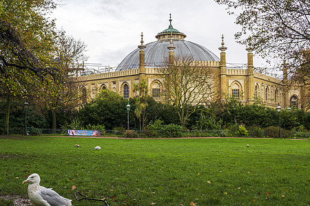 英国布赖顿布赖顿博物馆和美术馆外景外观文化遗产手工品旅行本土景点天空民众美术图片