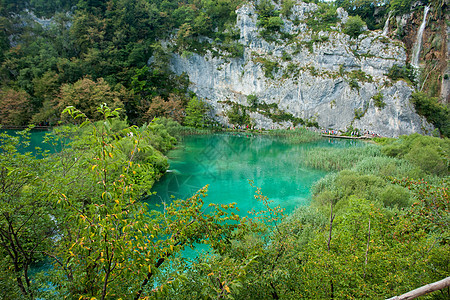 和平湖植物树木环境生态旅游森林岩石公园石头运动图片