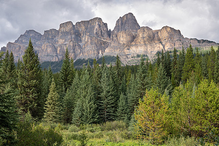 加拿大艾伯塔省班夫国家公园Banff 国家公园鲍瓦山谷公园道生境森林全景旅行旅游远足爬坡首脑环境目的地图片