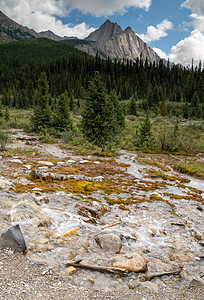加拿大艾伯塔省班夫国家公园Banff 国家公园鲍瓦山谷公园道环境旅行爬坡山脉远足生境首脑旅游农村风景图片