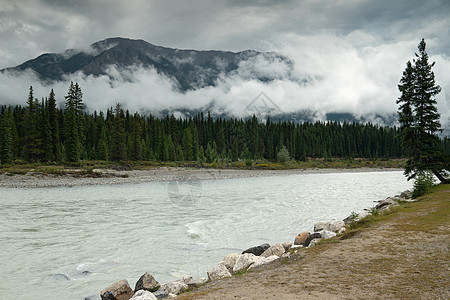 加拿大不列颠哥伦比亚省Kootenay国家公园环境爬坡生物旅游山脉荒野风景农村假期目的地图片