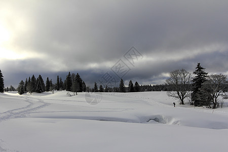 美丽的冬季风景和fir树森林假期蓝色旅行太阳运动滑雪天空季节白色图片