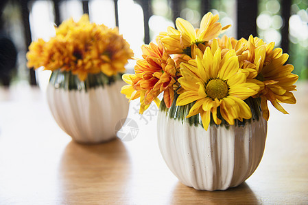 陶瓷盆中鲜彩小太阳花  背景用黄花装饰花束药品植被花瓣叶子植物学晴天橙子盆花礼物图片