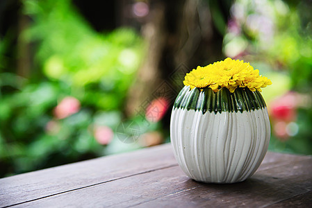 小陶瓷盆中的鲜彩花  背景使用概念的彩花装饰盆药品脆弱性盆花喜悦花盆橙子植被生长叶子植物学图片