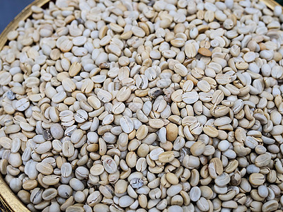 篮子中的干白咖啡豆     咖啡自然产品概念水果传统食物豆子生产农场热带女性植物土地图片