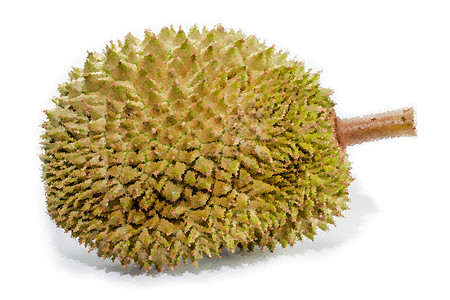 Durian水果摘要三角区 供背景使用 插图粮食飞机桌面海绵情调木头照片异国刺猬榴莲图片