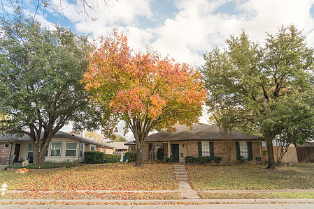 在秋季秋季多色叶子下 达拉斯附近的典型单身家庭房屋前院很美橙色露台殖民房子大厦落叶邻里住宅细分抵押图片