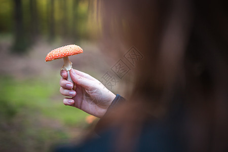 持有蘑菇俗称苍蝇长发或苍蝇长发的女性是阿曼尼塔人的一种易碎药伞菌森林木板植物生物学季节菌类树叶危险艺术图片