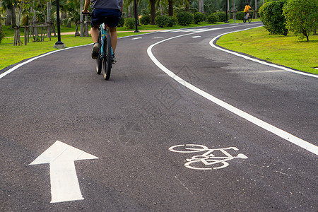 双自行车车道标志或脚踏车路标牌 用箭指在台阶上路线运输运动小路旅行路面信号城市地面交通图片