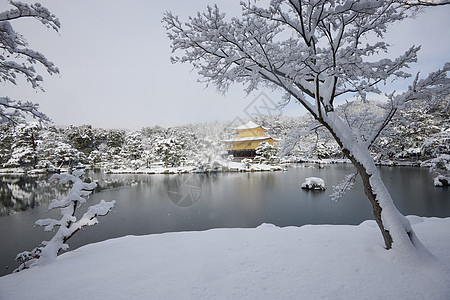 京角寺雪旅行历史季节花园蓝色金子寺庙天空建筑建筑学图片