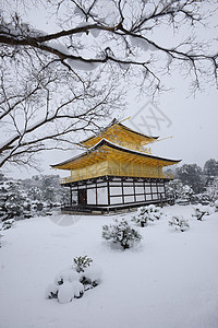 京角寺雪历史地标花园旅游寺庙季节天气旅行金子天空图片