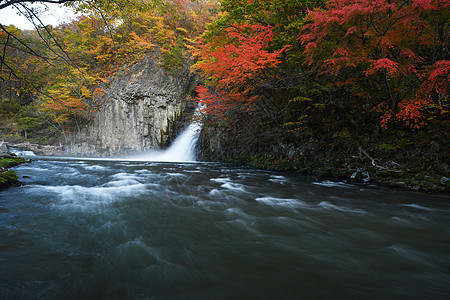 秋色的东北瀑布溪流白色旅行叶子公园国家绿色峡谷风景瀑布季节图片