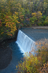 日本东北附近有水坝的秋天风景黄色森林溪流旅行旅游瀑布峡谷红色绿色公园图片