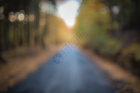 美丽的焦点秋季森林有道路和阳光 有用的背景 福雷斯特中间的柏油路公园场景小路日落车道太阳旅行风景季节叶子图片