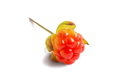 一个成熟的云莓在白色背景上被孤立 有带影子和没有阴影的剪切路径图片