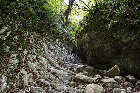 2019年11月3日 俄罗斯索契附近的克拉布峡谷风景环境山沟岩石公园森林热带绿色丛林溪流图片