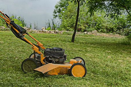 观察在Drujba住宅区一个公园切草的磨木机图片
