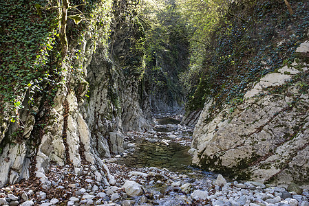 马梅多夫峡谷的Kuapse河是一条旅游路线 2019年11月4日 俄罗斯索契Lazarevsky区石头森林岩石山脉公园旅行国家溪图片