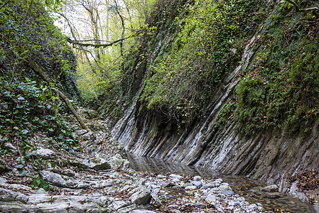 马梅多夫峡谷的Kuapse河是一条旅游路线 2019年11月4日 俄罗斯索契Lazarevsky区山脉国家峡谷自然保护区野生动物图片