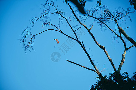 冒险者主动的极端运动驾驶员 在空中飞翔 配有助滑翔机发动机滑翔伞降落伞图片
