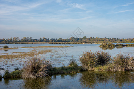 法国南部Camargues 地貌景观太阳池塘玫瑰沙丘沼泽旅游全景芦苇贝壳假期图片