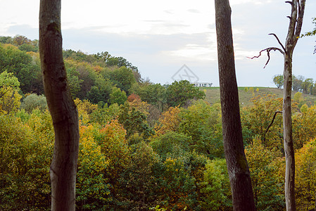 秋天风景 树林中多彩的树木阳光小路乡村叶子太阳黄色公园红色季节森林图片