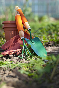 花园工具手套生长植物纺织品园艺家庭花盆地面黏土种植图片