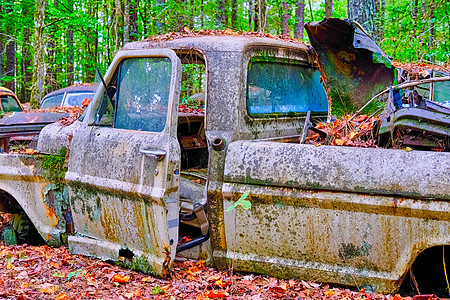 旧遗弃卡车汽车森林垃圾腐蚀运输车辆废料乡村树木古董图片
