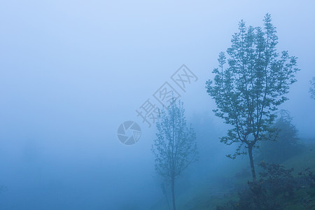 湖中环乙醇Name景点树木旅行天空海胆地标薄雾农村阴霾旅游图片
