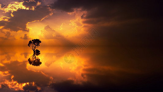 日落时的岛景观图片