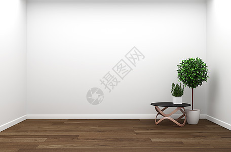 内地客厅 墙壁上木木的植物地面绿色沙发空白白色装饰家具房间风格木头图片