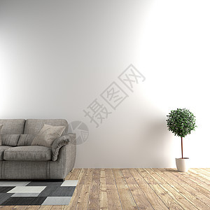 沙发旁边的白色房间和空墙背景的植物 3D图片