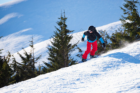 滑雪者在晴天骑滑雪板 杉木森林和山小山在背景 单板滑雪和冬季运动娱乐季节活动蓝色假期乐趣木板速度下坡旅行图片