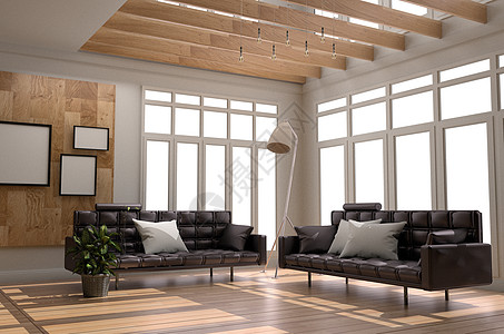 客厅室内斯堪的纳维亚风格 - 带沙发的现代客房图片