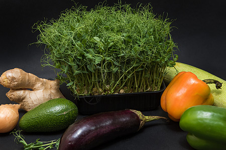 微绿芽营养园艺胡椒餐厅食品蔬菜农业食物生物花园图片
