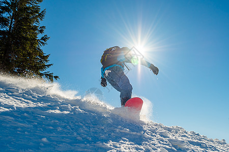 滑雪运动员在太阳尼日登上山峰红雪板 滑雪和冬季运动木板晴天单板行动假期娱乐太阳滑雪板粉末活动图片