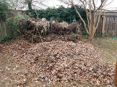 环卫工人扫树叶堆肥堆或土丘 棕色树叶落下院子工作叶子碎片背景