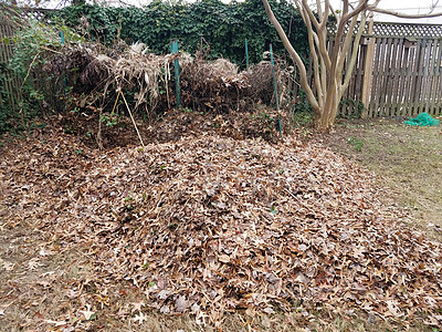 环卫工人扫树叶堆肥堆或土丘 棕色树叶落下叶子工作院子碎片背景