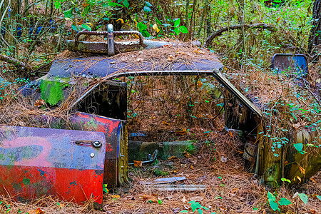 红门对抗被击毁的汽车垃圾场腐蚀车辆森林运输古董乡村树木金属废料图片