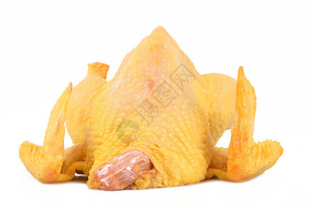 水晶鸡白背景的鸡鸡绿色白色食物烹饪牛肉营养配种家禽美食背景