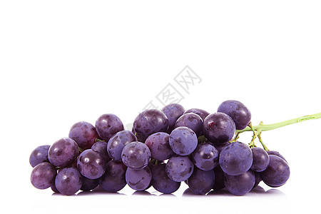 白本的葡萄团团黑色植物美食农业营养饮食水果食物生物图片