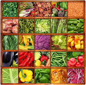 新鲜蔬菜的背景背景情况生物南瓜胡椒农业洋葱营养沙拉食物厨房茄子图片
