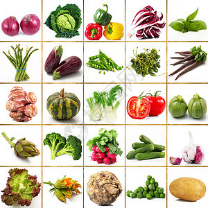 白色背景的新鲜蔬菜群 R蔬菜美食南瓜萝卜食物沙拉土豆农业拼贴画洋葱图片